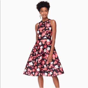 NWT Kate Spade blooming mikado floral dress size 8
